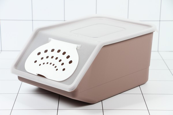 ����� 16. ���� ������� ��� �����, ������� ���-�: ������, ����������, �������. ������, ������. ������., �����������. ��������. ������: ����, �������, ����. �����������. ������� �������.