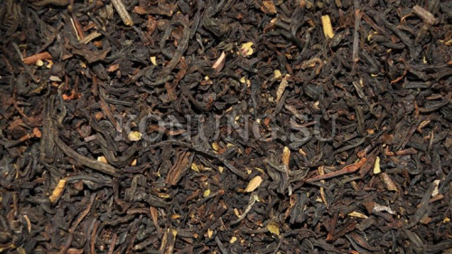 ��� � ����� ����� "������ ������"