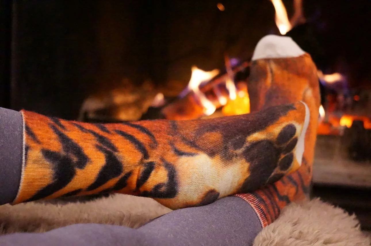 ����� ��� ������������ ���������)