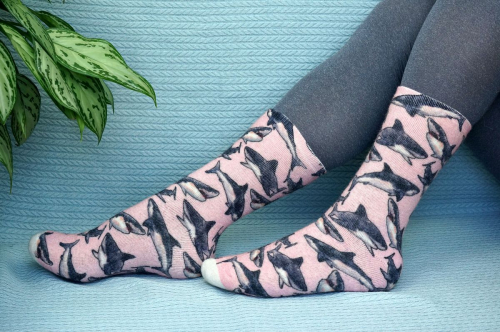 ��������� � ��������� ����� � ���������� ��������