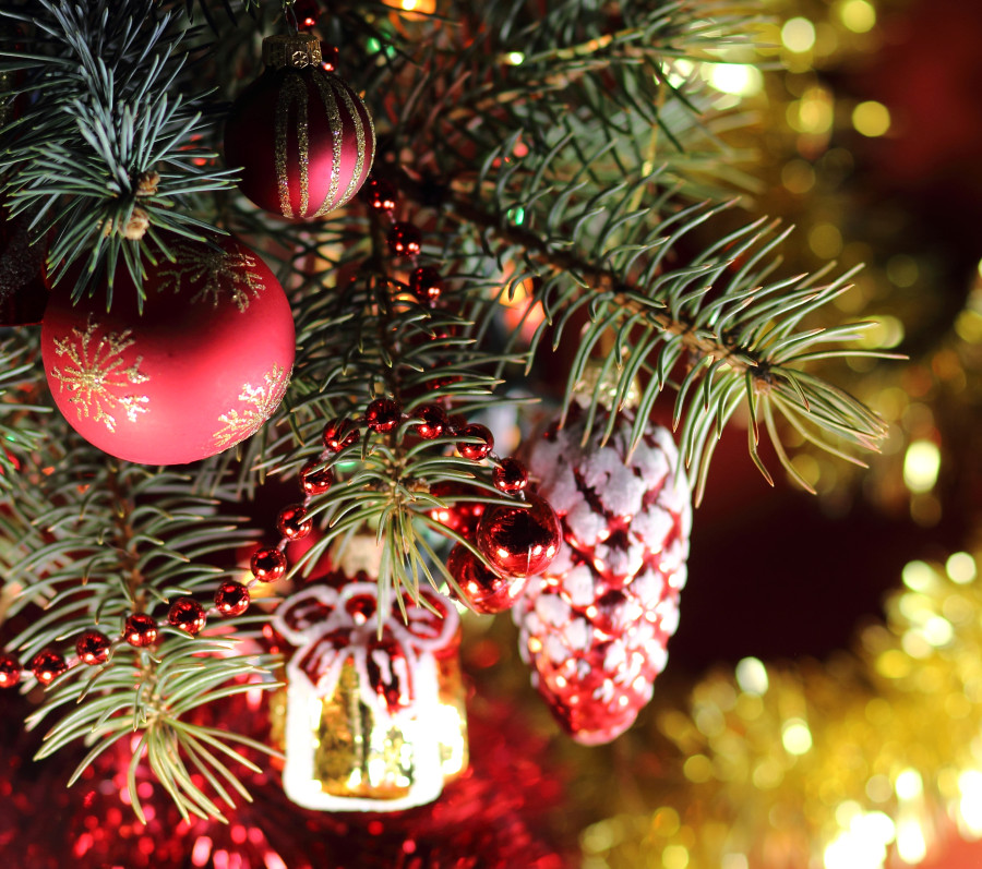 ��������� � ������ ���� �������! ����, ���������, ����������� ������ � ��������. �����-9.