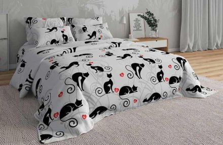 ������������ ���� � �������-�������! ����� �� ���������� ����� ���� �������