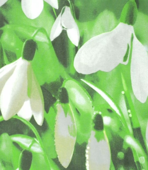 ����������� ����� ���� � �������������- ������ ��� �����! ���������� ������ �� ���������� ����� ������ ������!