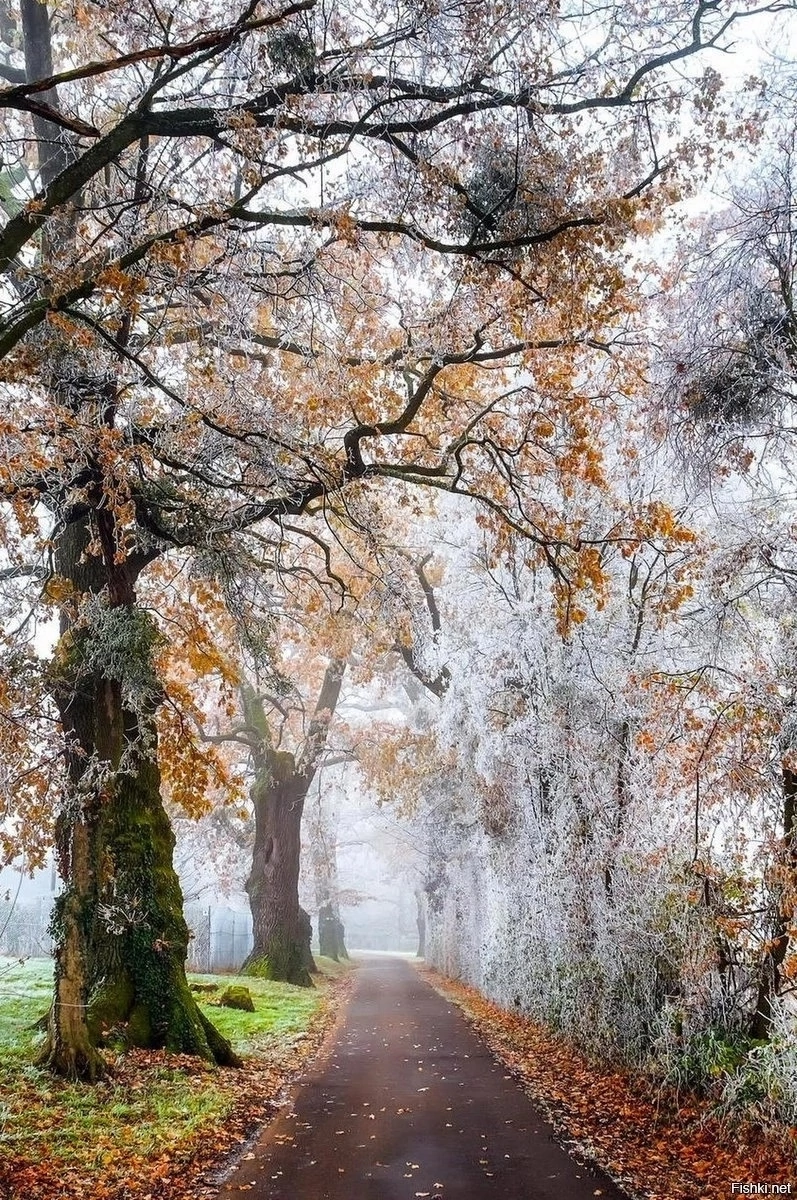 ����������, ������, �������-�����������!