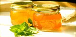 ������ ͣ� -  �����-�������� ��������� ������� � ������ ���������� ������������  � ��������  ������ ��������. ����� ����������!