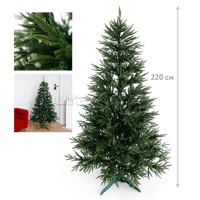 ������� ���, ����� �������������