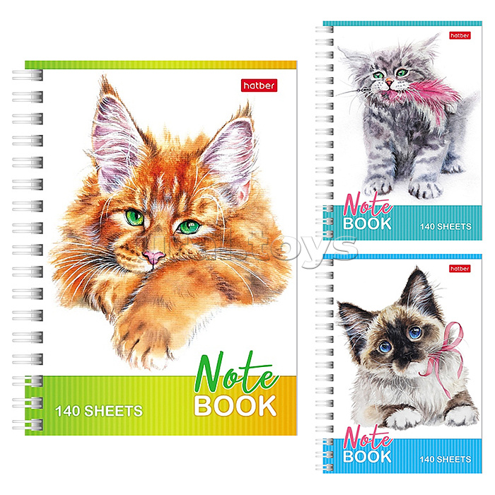 ������� ������, �������� ������, ���������� � ��������