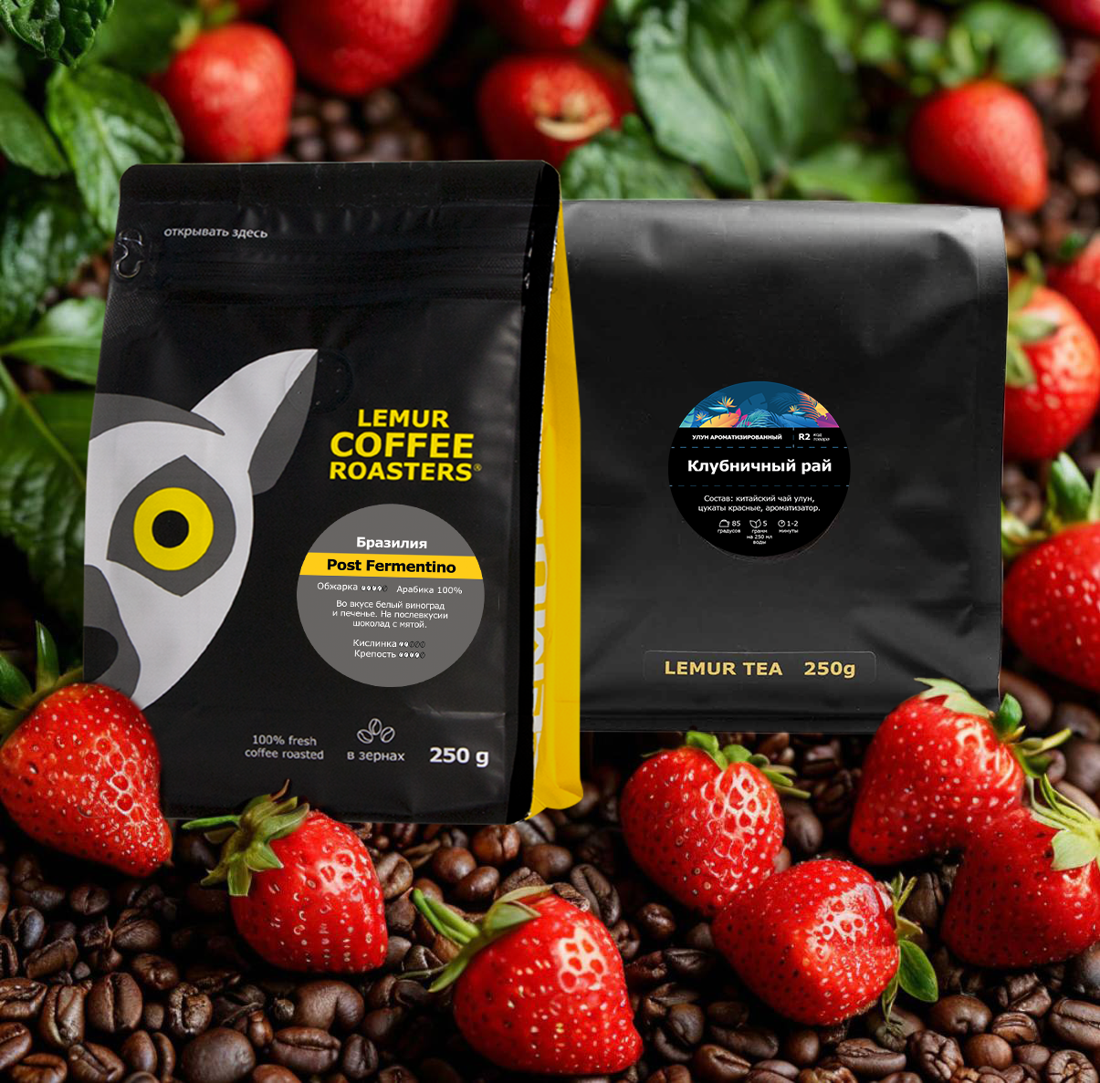 ����� ������ -  ���� � ������ �������� 