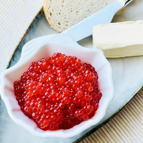 ���� ����� - ������� ����� � ��������� ������ � ������ �����! ������������� �����������, ������� �������� � ������ �������!