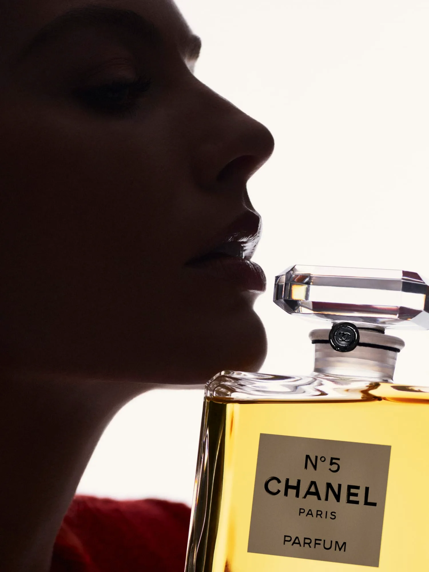 ������� ������ - �� ���� �������, � �� �� �����! ������ �������� Chanel No5 - ���� �� ����� ����������� �������� � ����! 10�� - 520�.