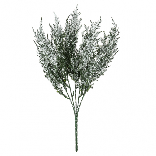 ������������ ����� "��� �����������" 31��, 5 �����, �������, �����-�������, ����� 2�� (������)