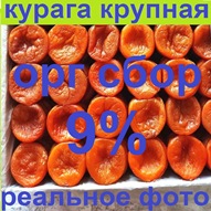 ������ - �������� ������! ��� ���� 9%! �������, �������, ����-��������� ����� - ������ ������ ����! ��������� !