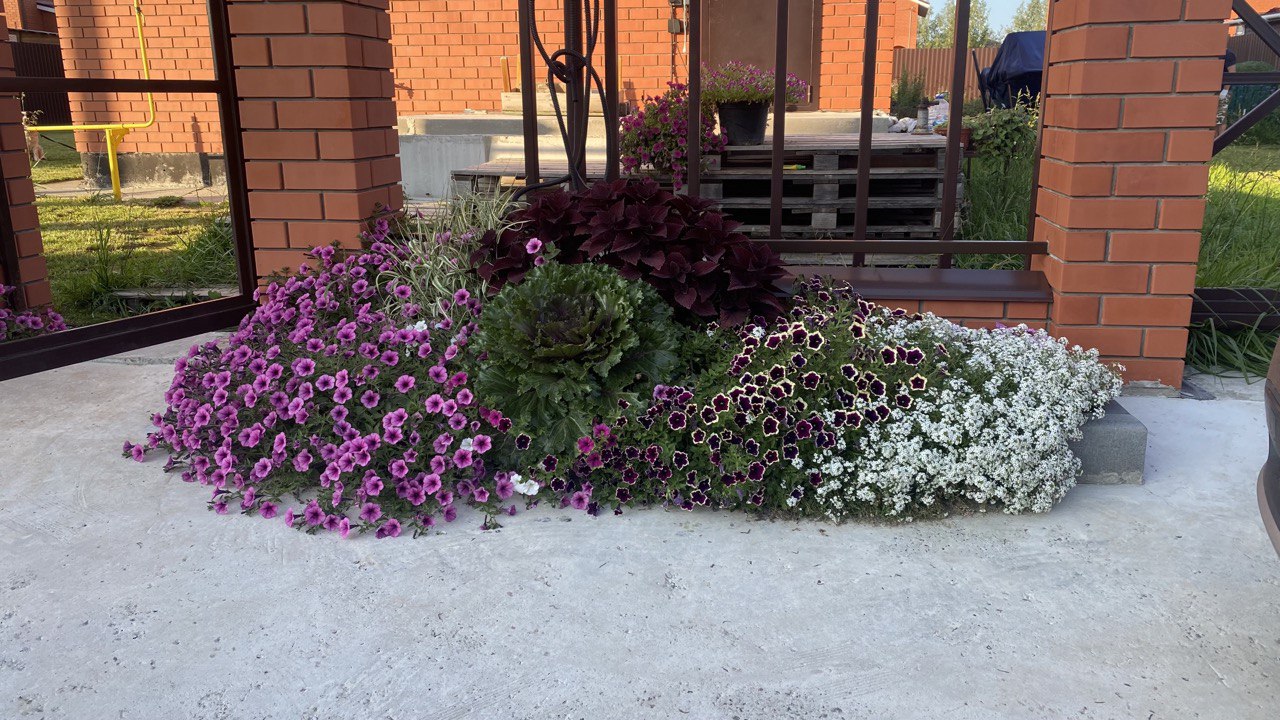 ������������! �����������! �������, ����������, ������, ������� � ������. ��������� �� ����� 2025. �����-1