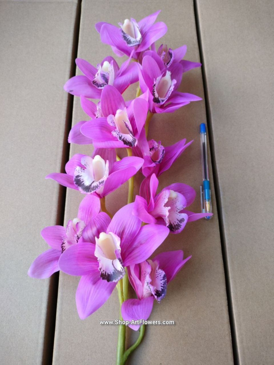 �������� �������-������� 100 �� ������