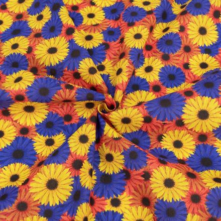 ����� �� ����� ����, ������, �������, �������, ���������, ������ -���� �������