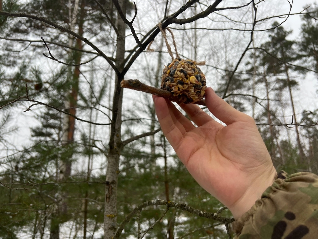 ���ӣ� �������� ���� �� ������! 