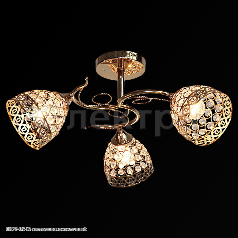 ��������� ������, ������-�������, ���, �����. ���������� �����, c����������� �����, ����. ����� 2224