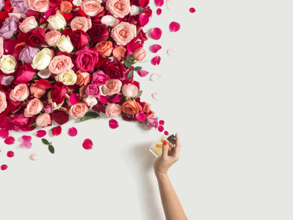 �������� ���� ��� ������ ������! ������������������ ������� �� ������� �� ��������� ����� - ������� ������ �� ������, �� �� �����! � ����� - ������� ���������� Fragonard! �������������� �����!