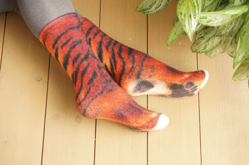 �� ����� ��������! ��� ���� ���� ���������!