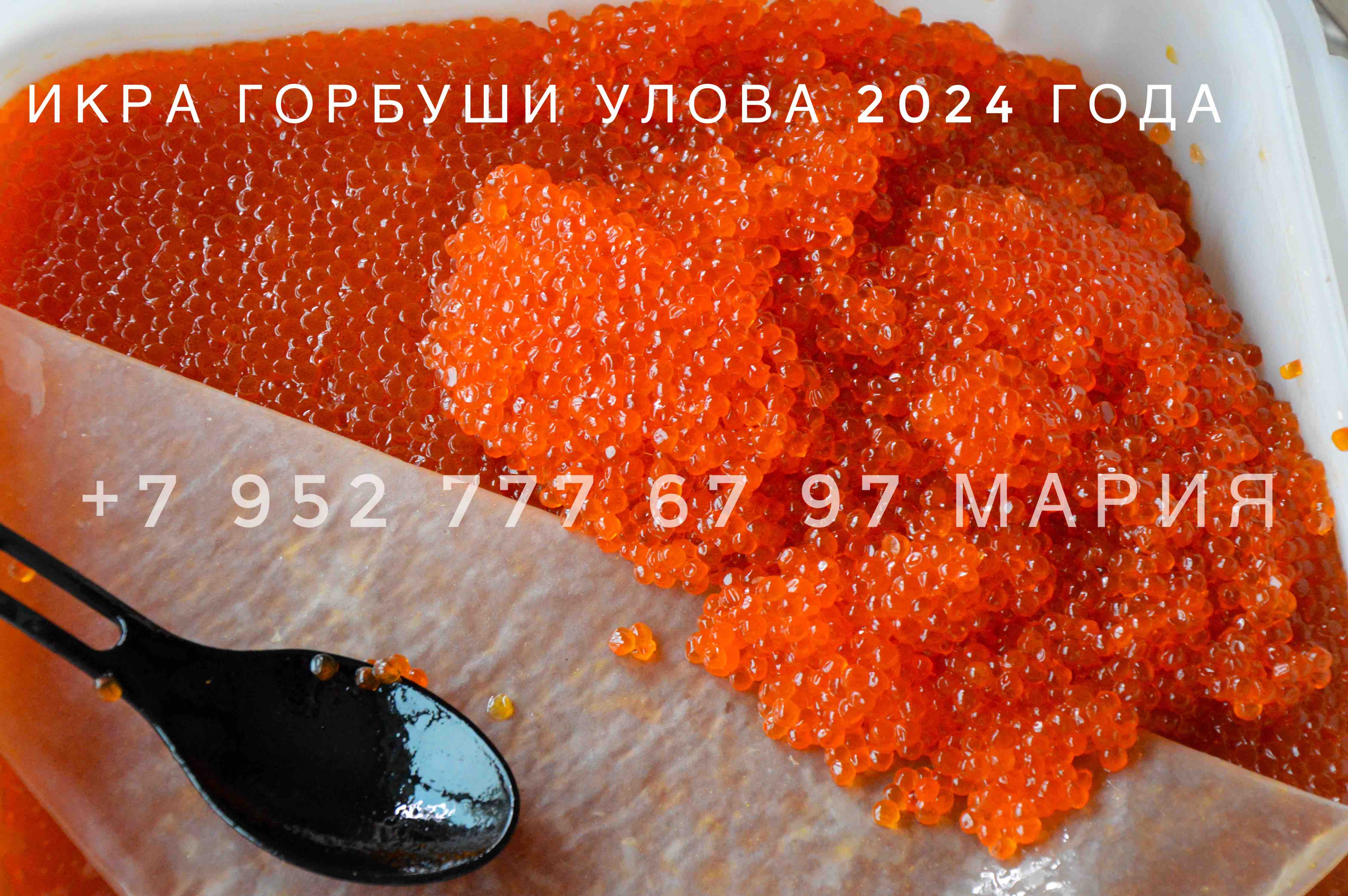 ���������� ������� ���� �������, ����, ������. ���� ������, ������ ������ . ���� ���� .