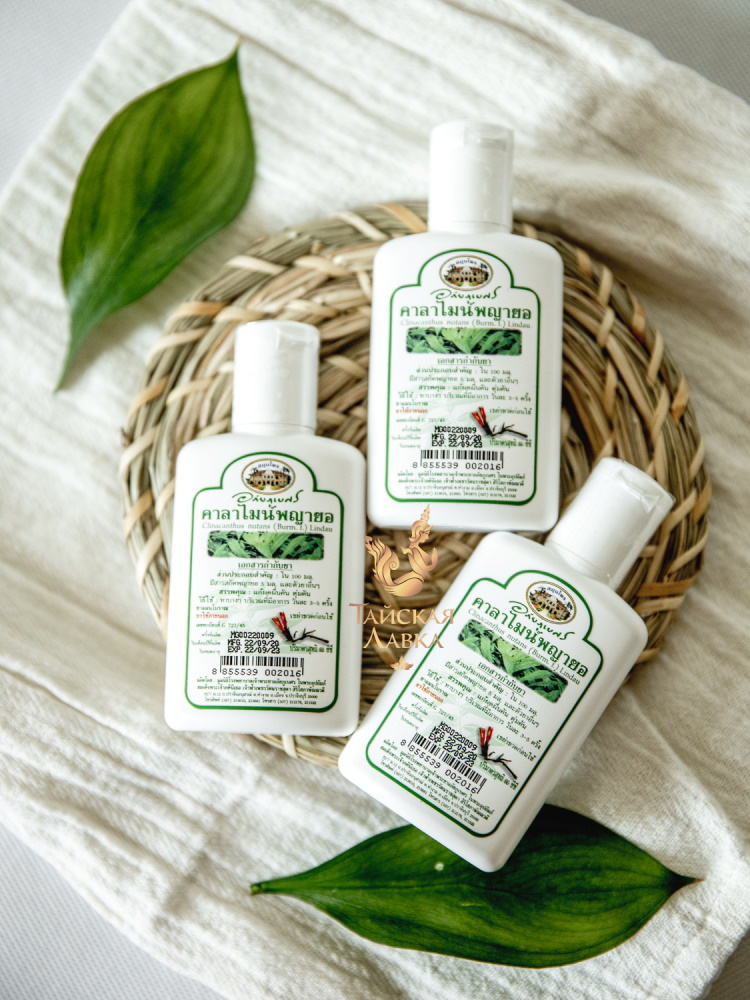 ����� � �������! ������ �� ������ ��������� ������� �� Abhai! ������� ���, �����, ������� � �������! ��� ��������!! � ������� ����� �����!