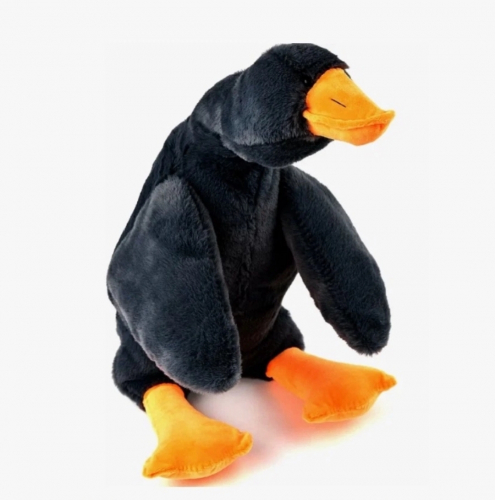 ����. ���� �������.�����,����-��������,����,�����,��������