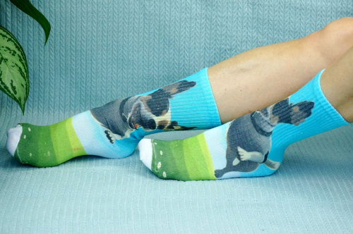 ��������� �������! 