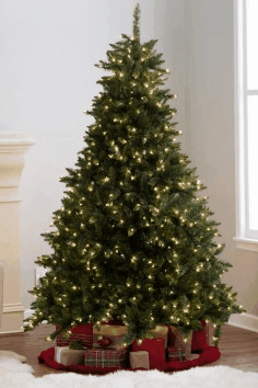 ���� �� 12.12.������� �� ���ģ��!��� ��� �� � ��� ��)...�� ����������� �����-51