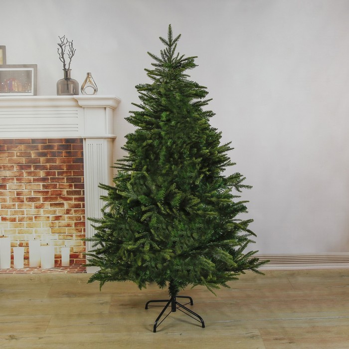 ������� - ���������� ����