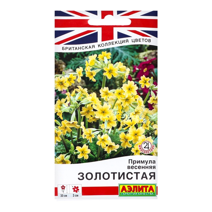 ������� - ������ ����������� ������: �������