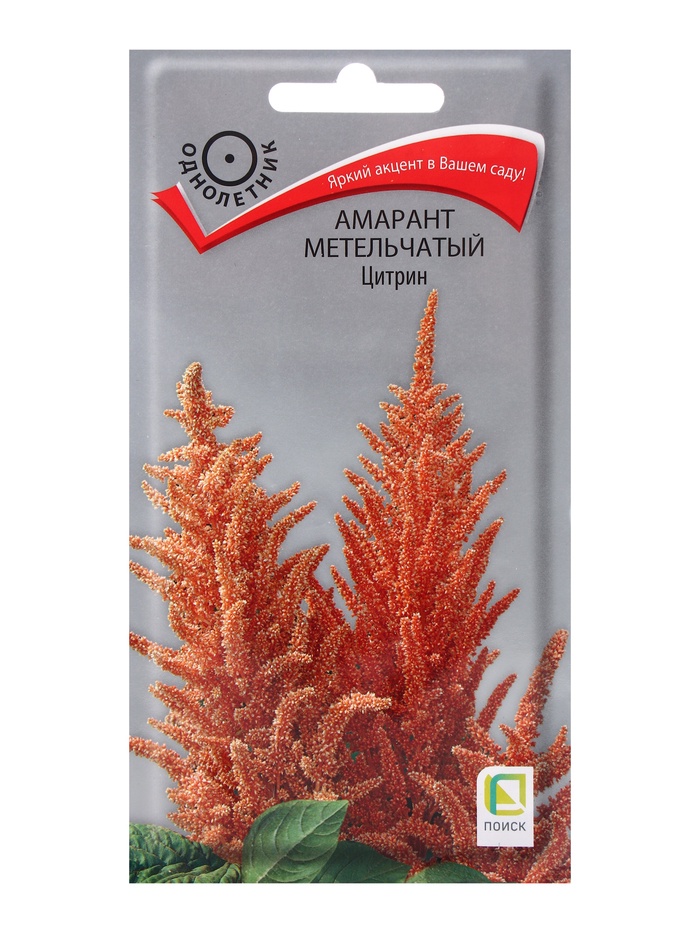 ������� ������ ���������� ������: �������