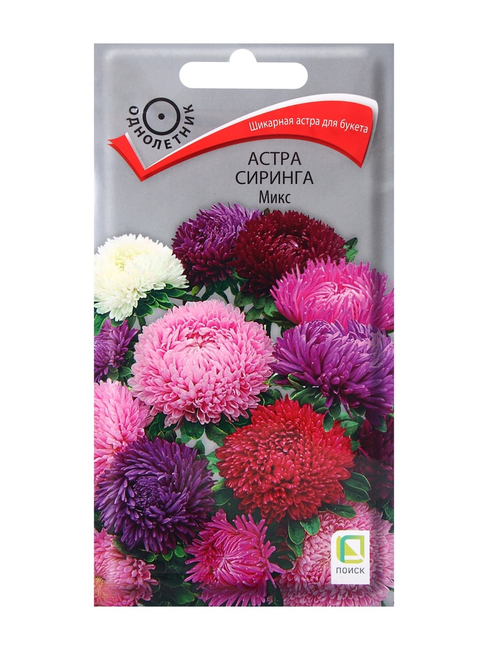 ������� ������ ���������� ������: �����