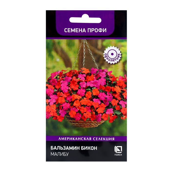 ������� ������ ���������� ������: ���������