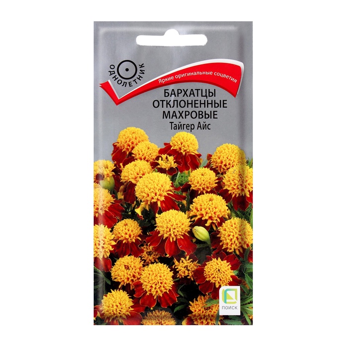 ������� ������ ���������� ������: ��������