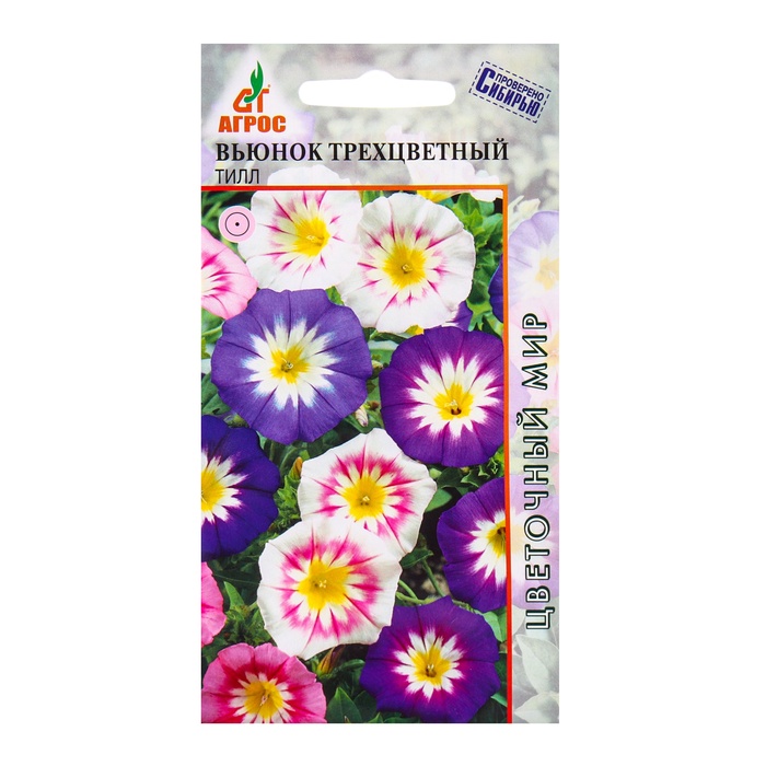 ������� ������ ���������� ������: ������