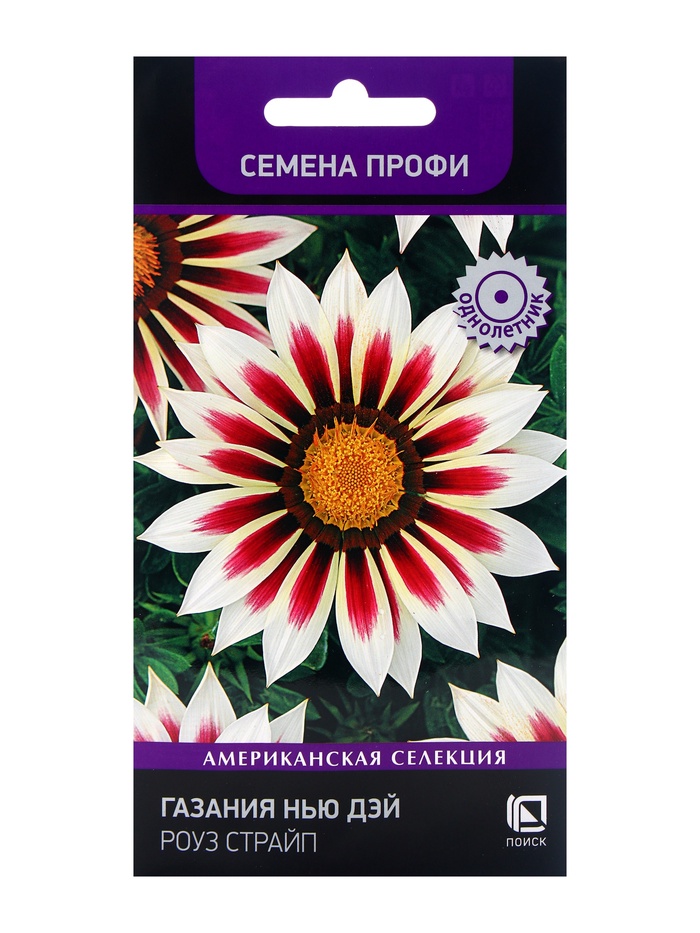 ������� ������ ���������� ������: �������