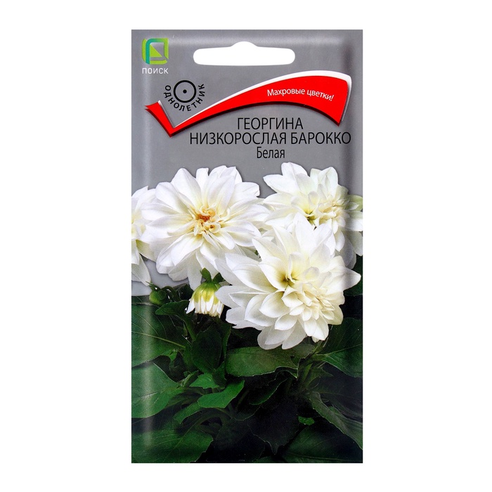 ������� ������ ���������� ������: ��������