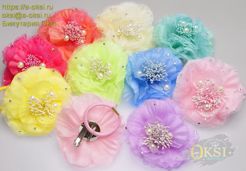 ������� �����, ������ ���������