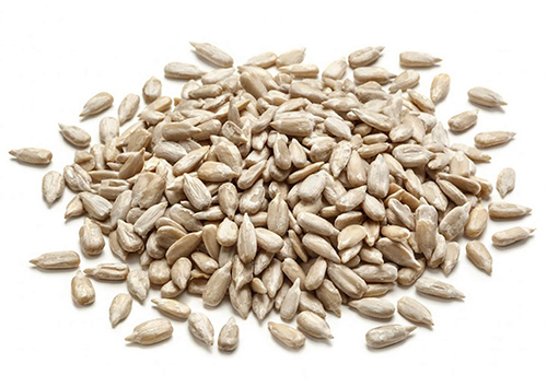 ������� ��������� ������������� - ����� ������ 2024 ���� ��� �������� ��� ������. ��� ���������?