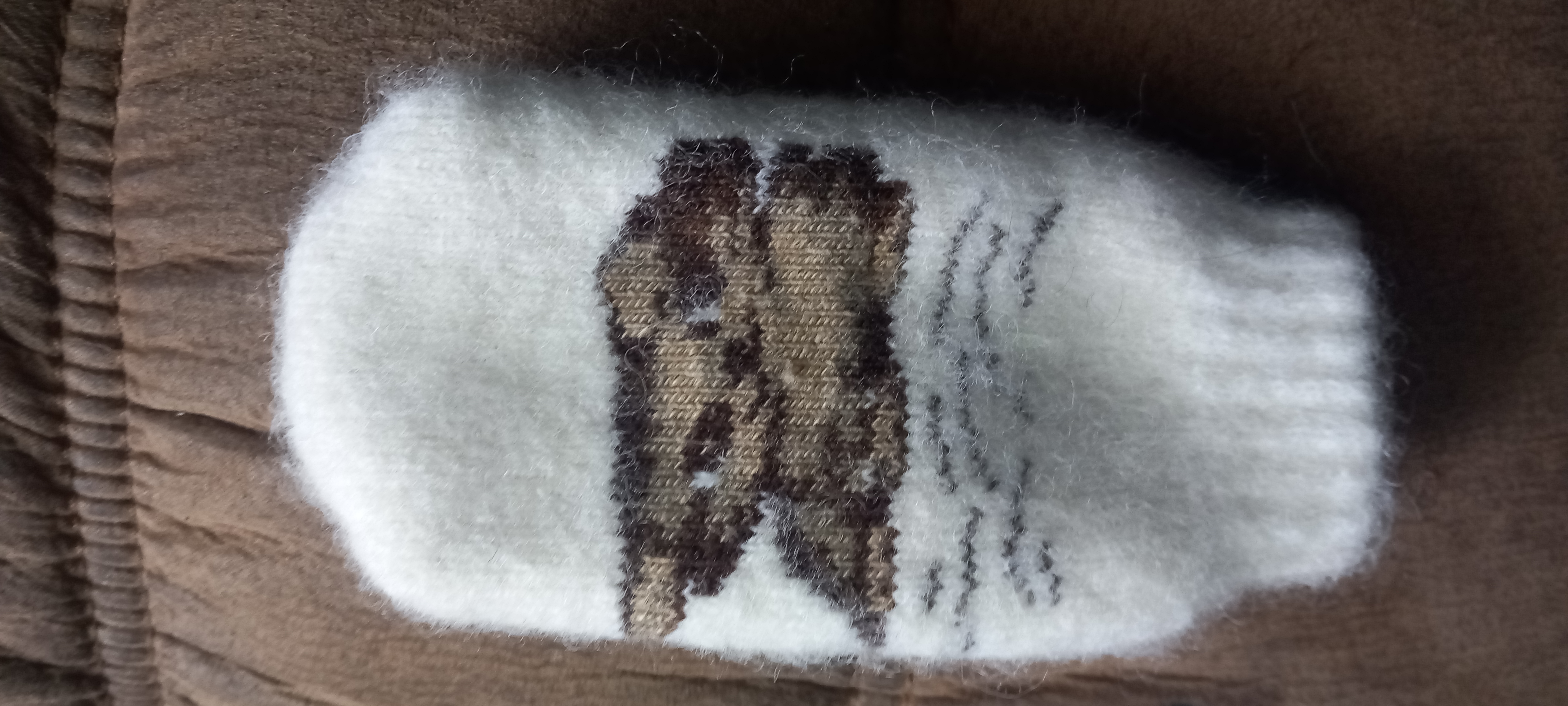 ������ 5!....�������!