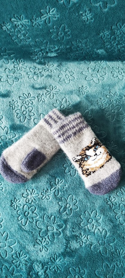 ������ 5!.....��������, ������ �������!