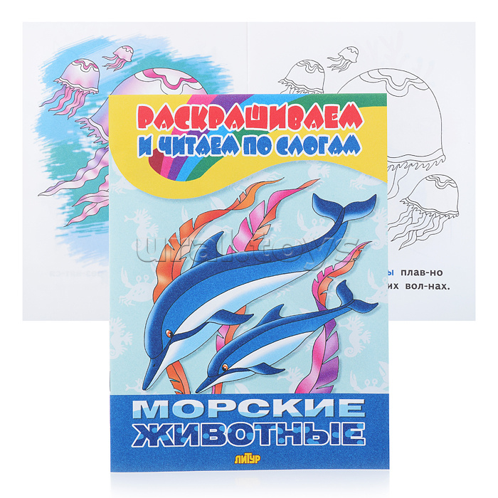 ������� ���������, ����������