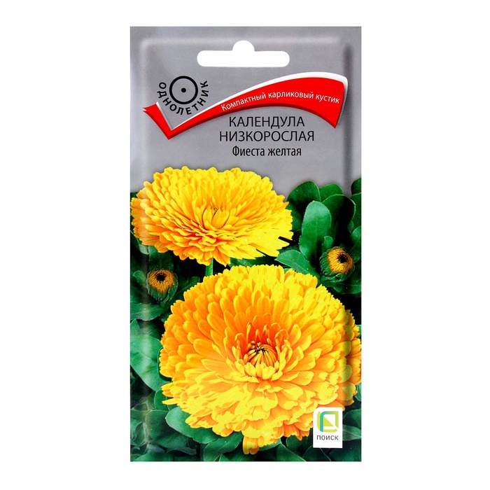 ������� ������ ���������� ������: ���������