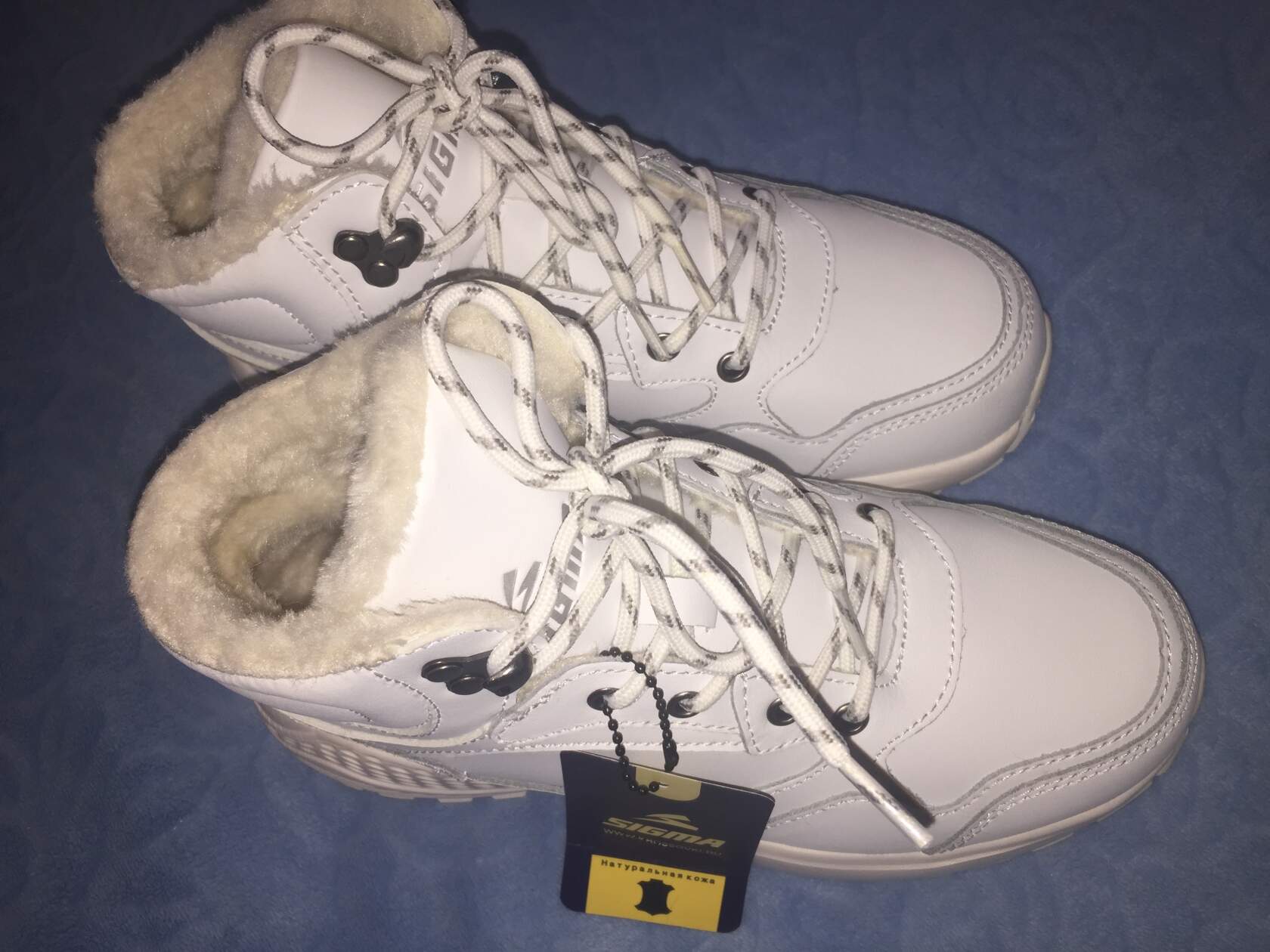 �������� ��������� 38 ������ ������ ����� ��������� ����������� ����