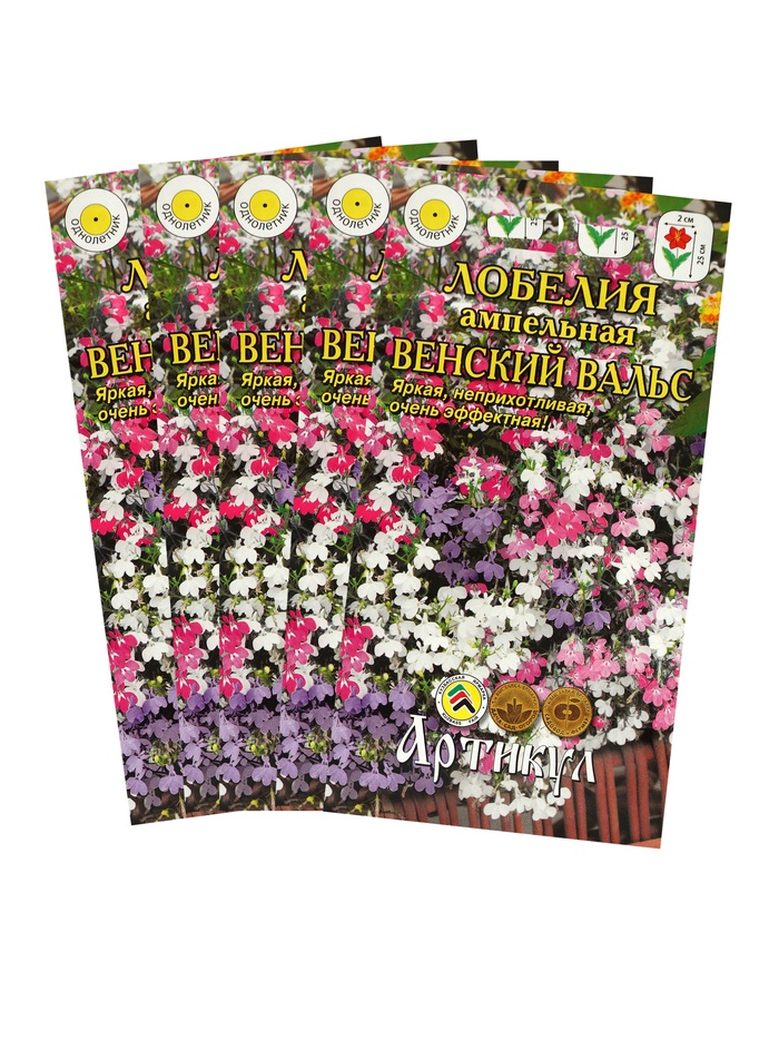 ������� ������ ���������� ������: �������