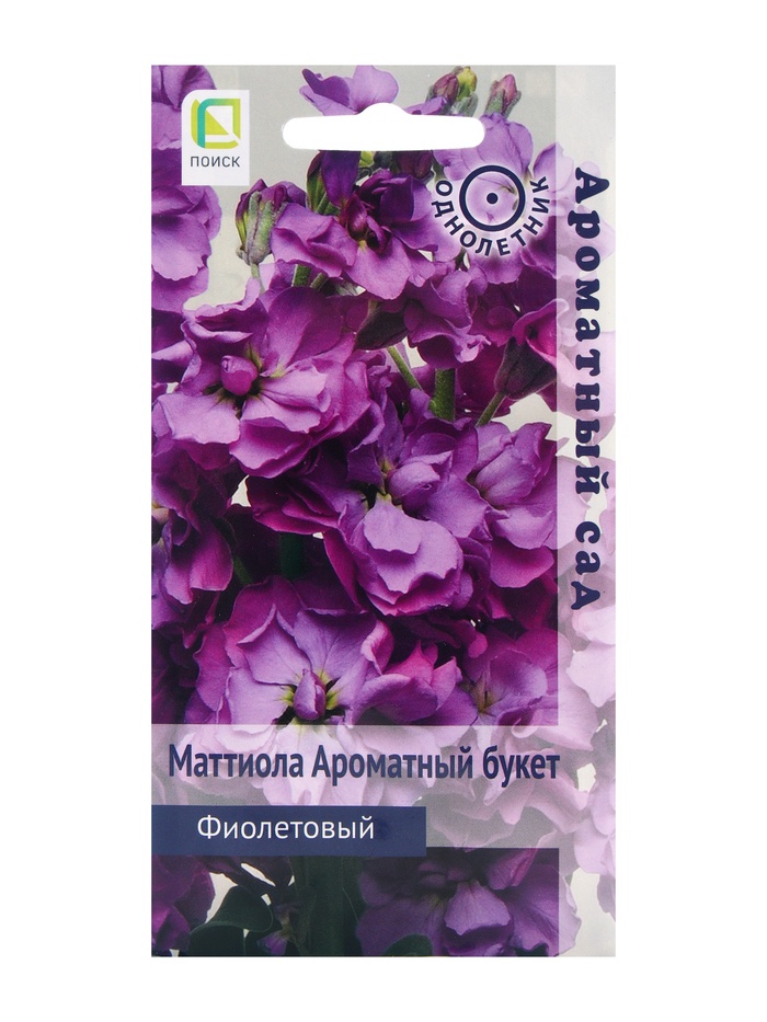 ������� ������ ���������� ������: ��������