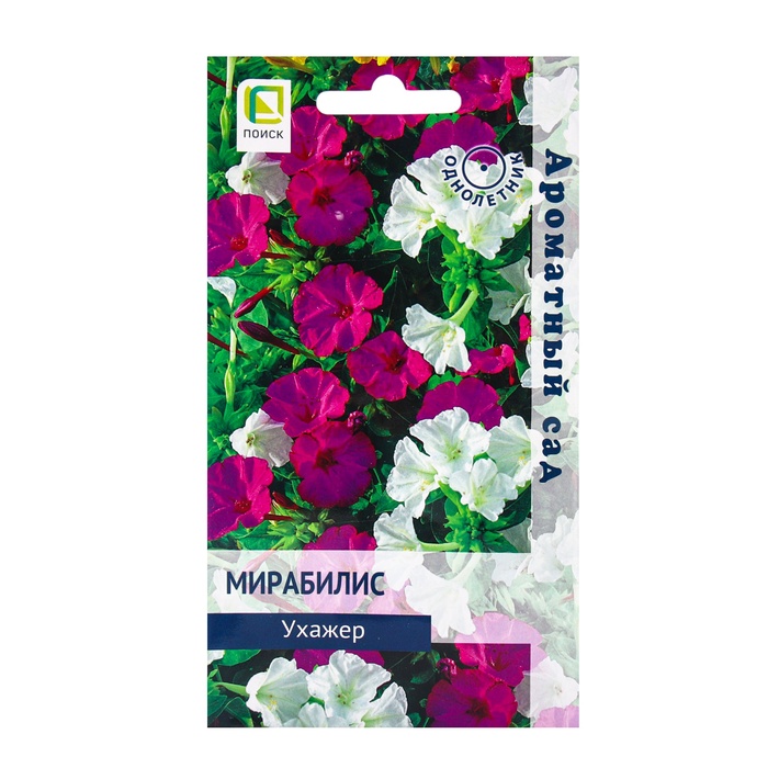 ������� ������ ���������� ������: ���������