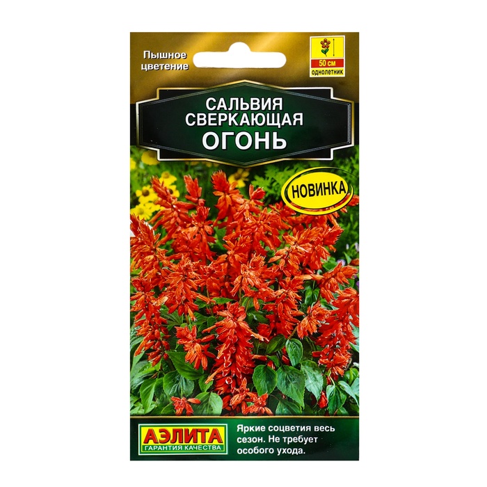 ������� ������ ���������� ������: �������