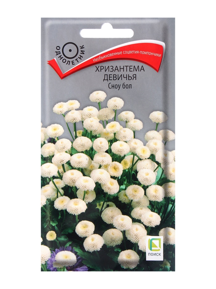 ������� ������ ���������� ������: ����������