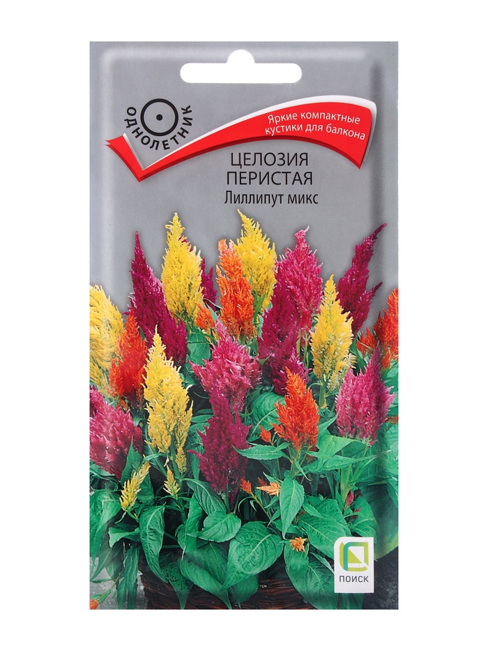 ������� ������ ���������� ������: �������